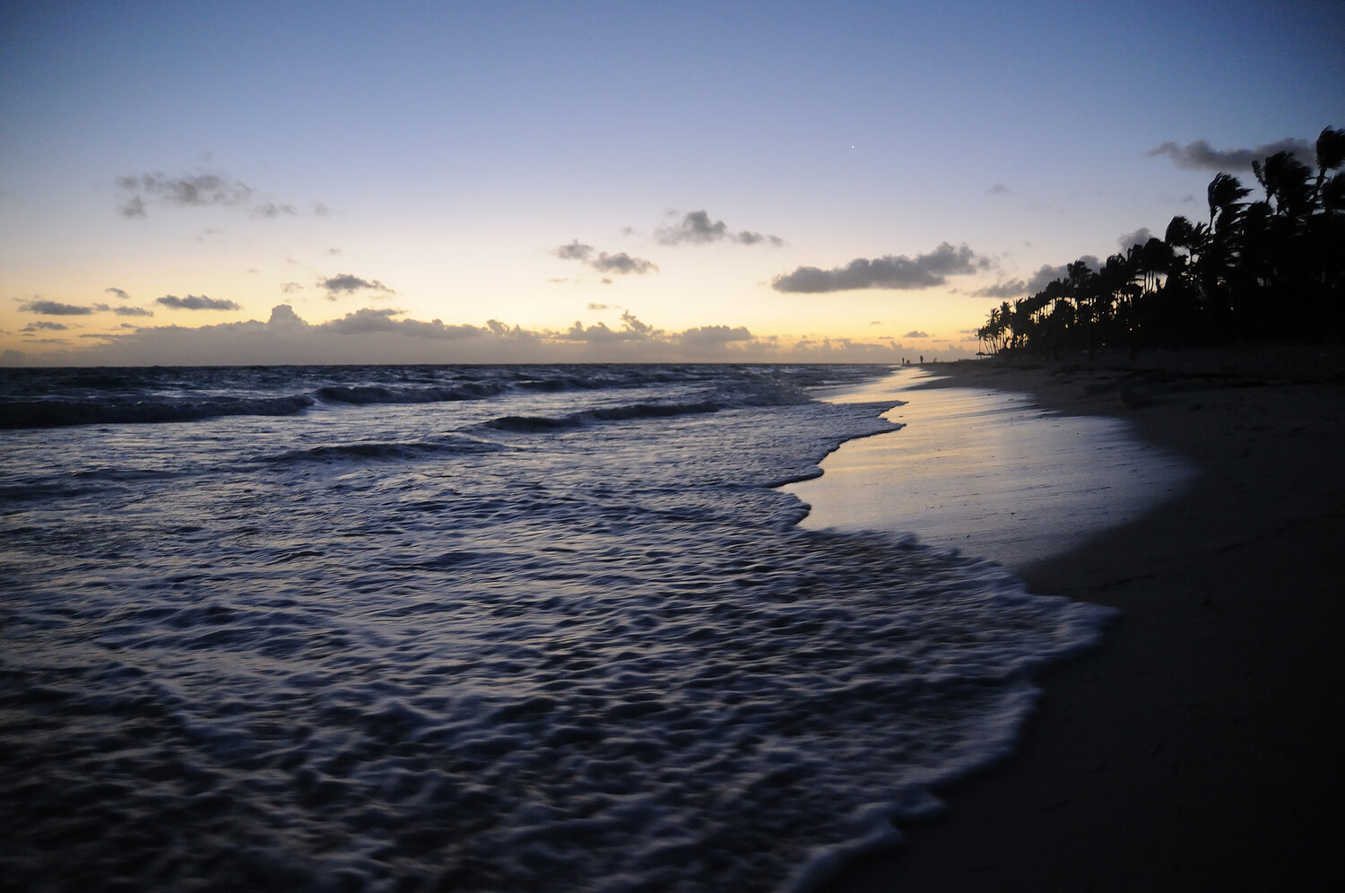 Photo #13962205