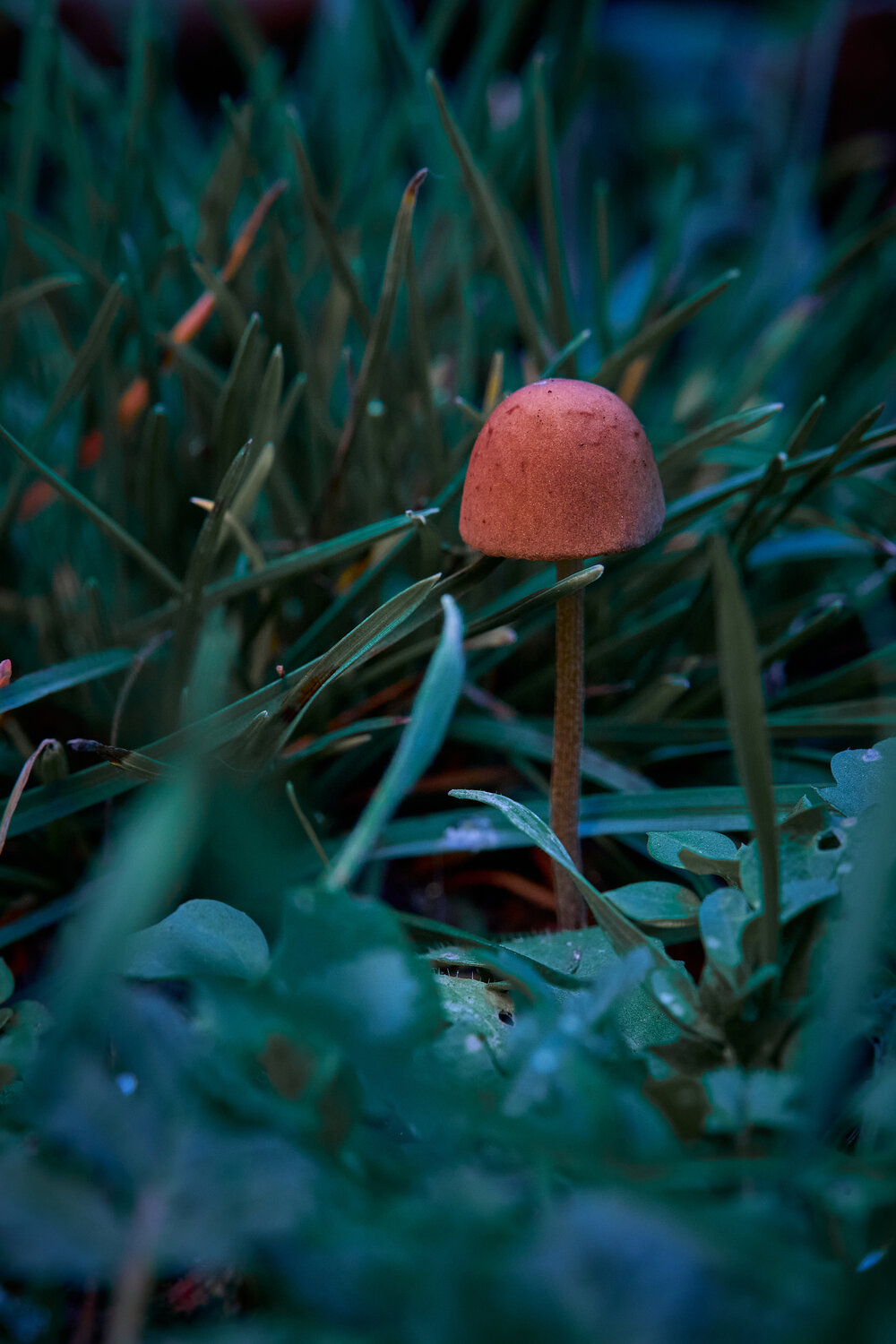 Photo #13962264