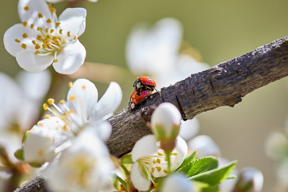 Photograph by Дмитрий Казачек