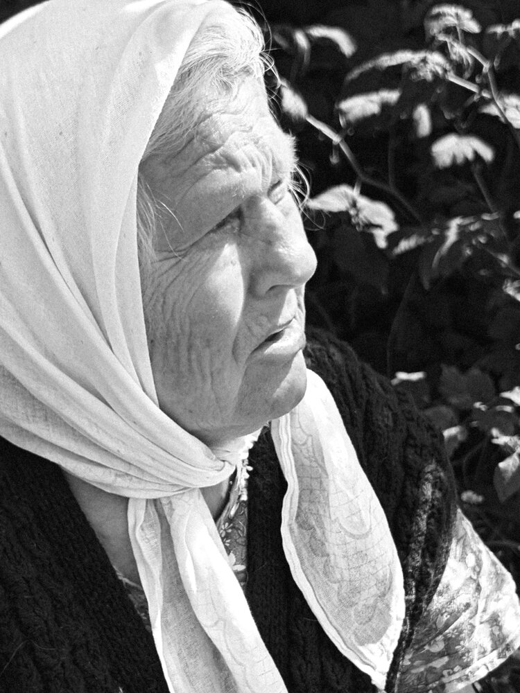 Photograph by Наталья Горовых