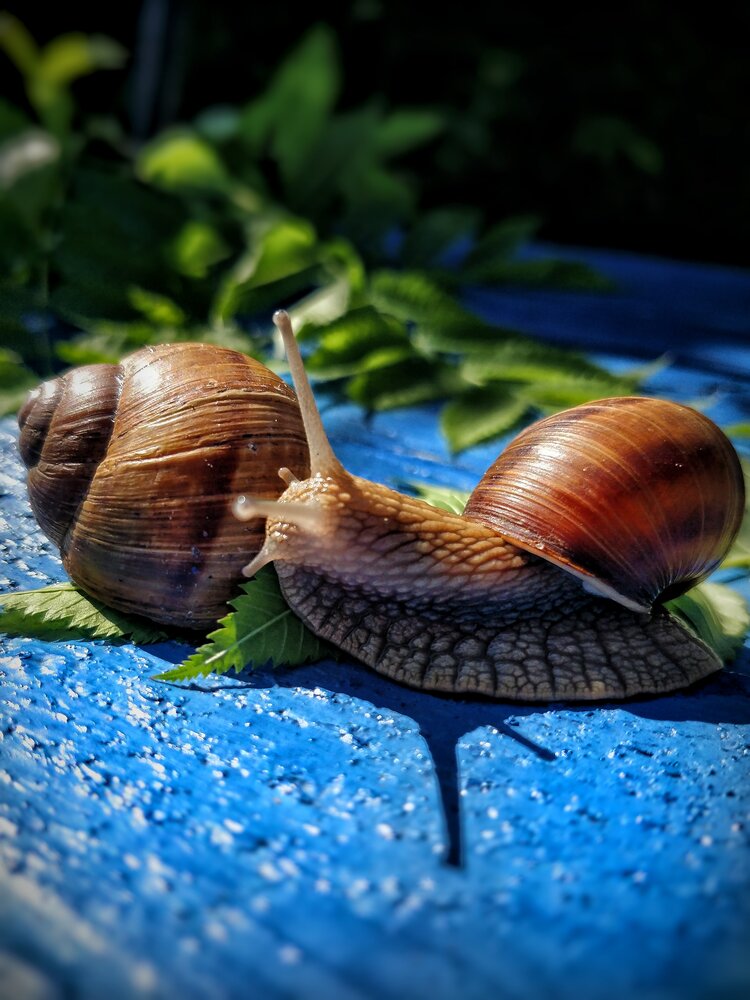 Photograph by Светлана Васильева