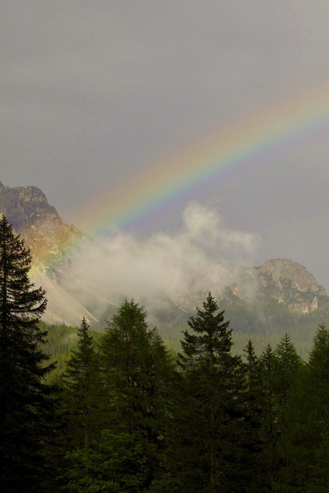 Photograph by Одаренко Ольга