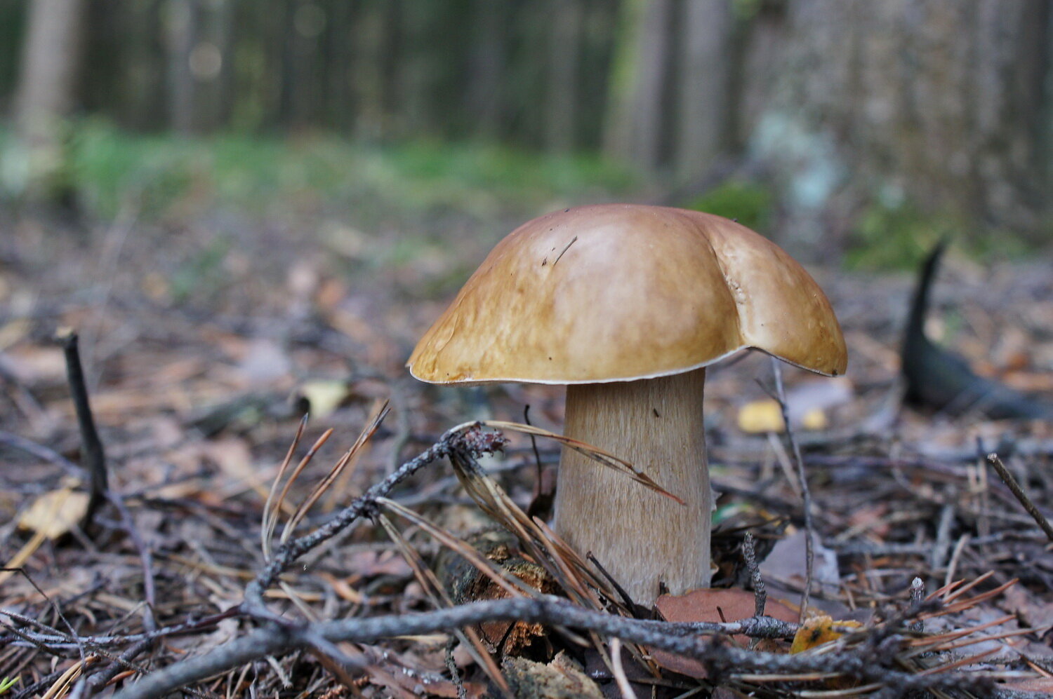 Photo #13962408