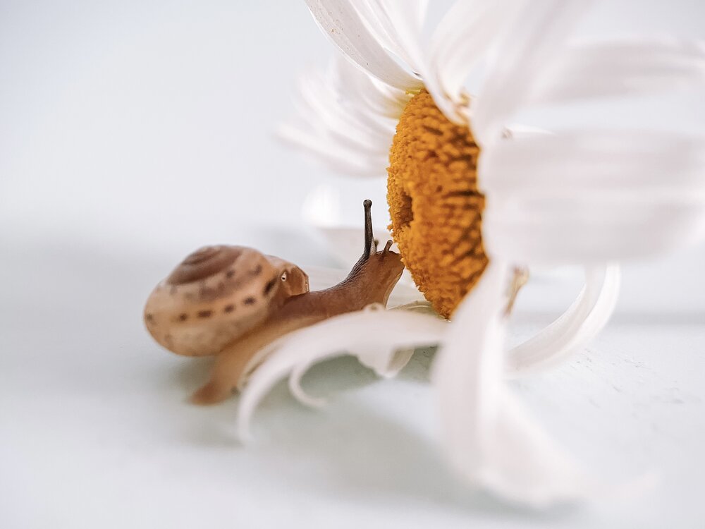 Photograph by Екатерина Валиуллина