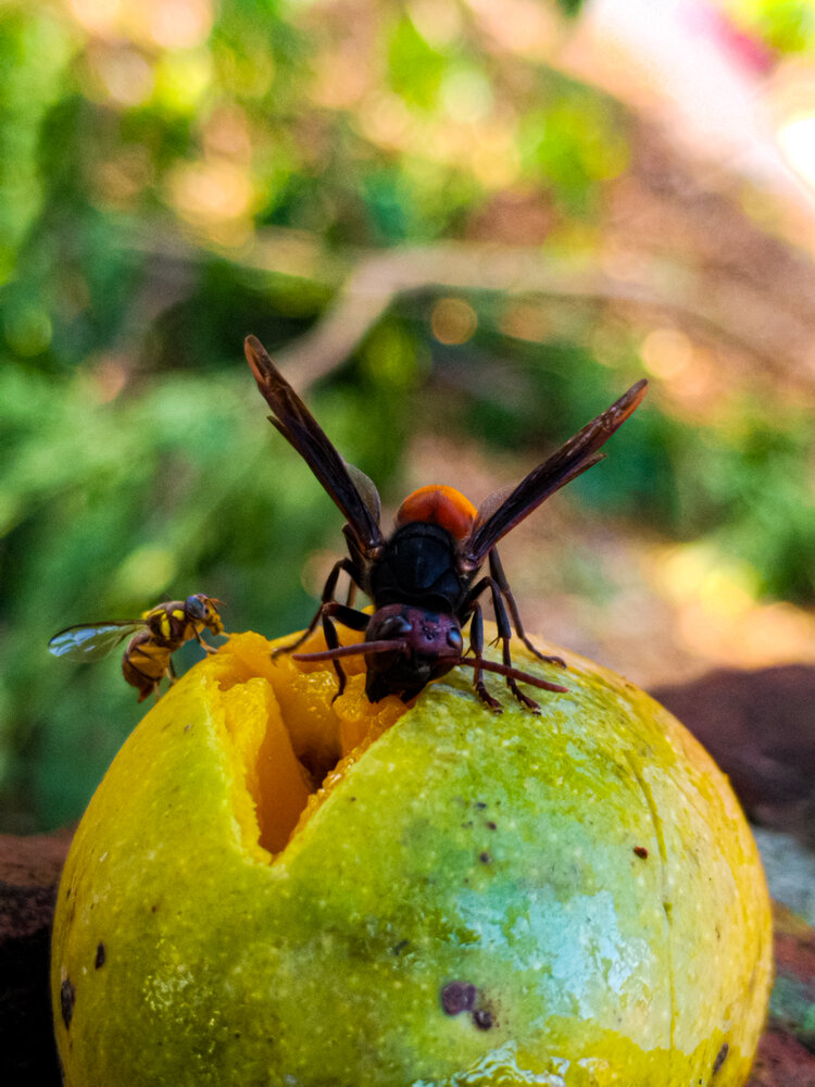 Photograph by Ashata Jannat Jannat