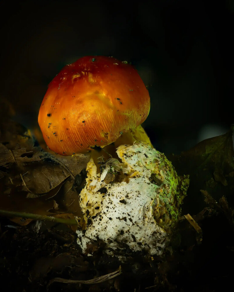 Photograph by Флетчер Сергей