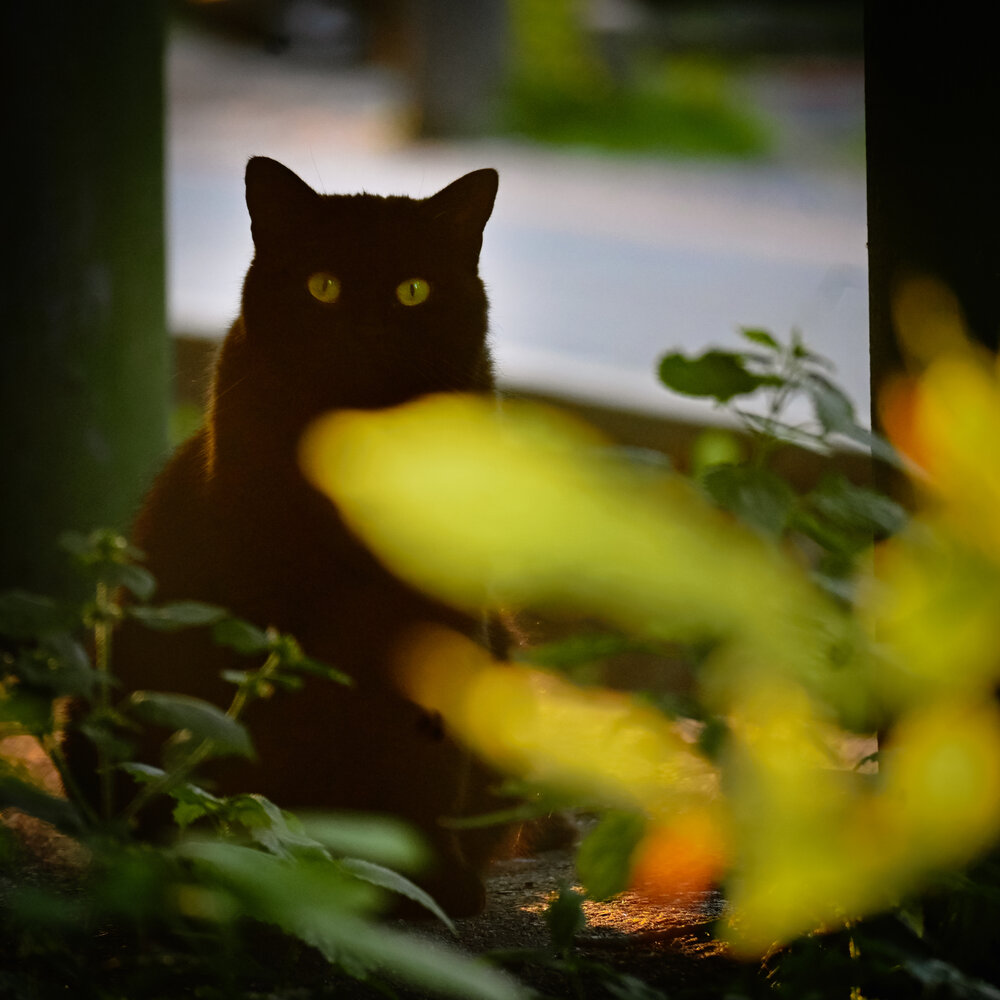 Photograph by Tatiana Shtun