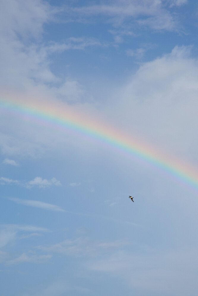 Photograph by Юлия Зозуля