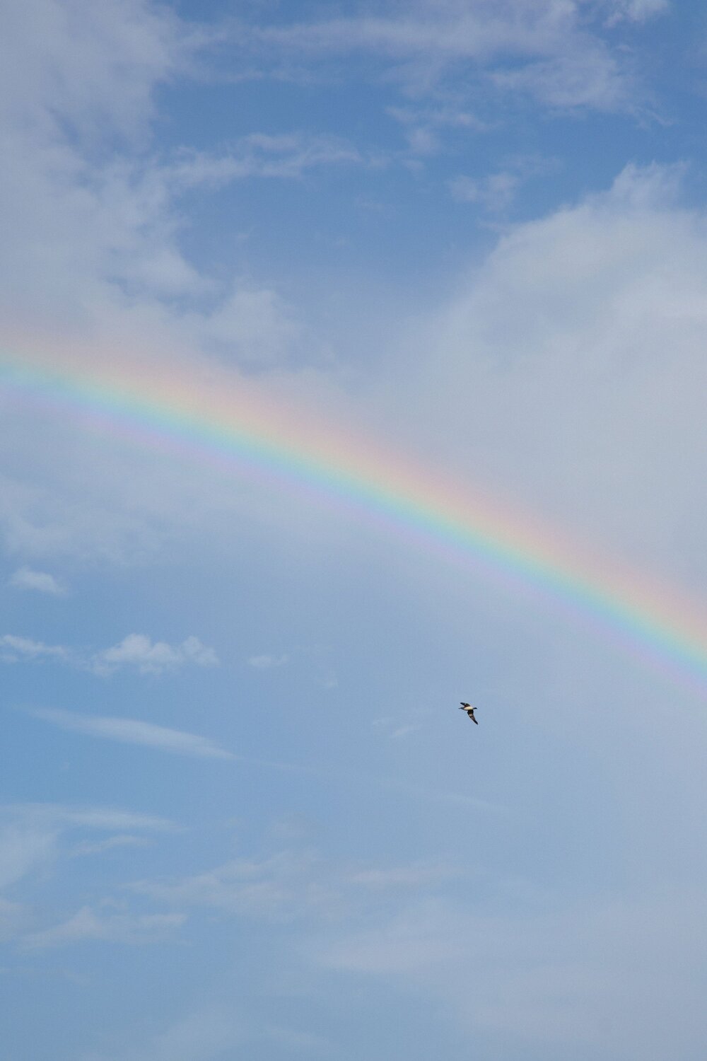 Photo #13963001