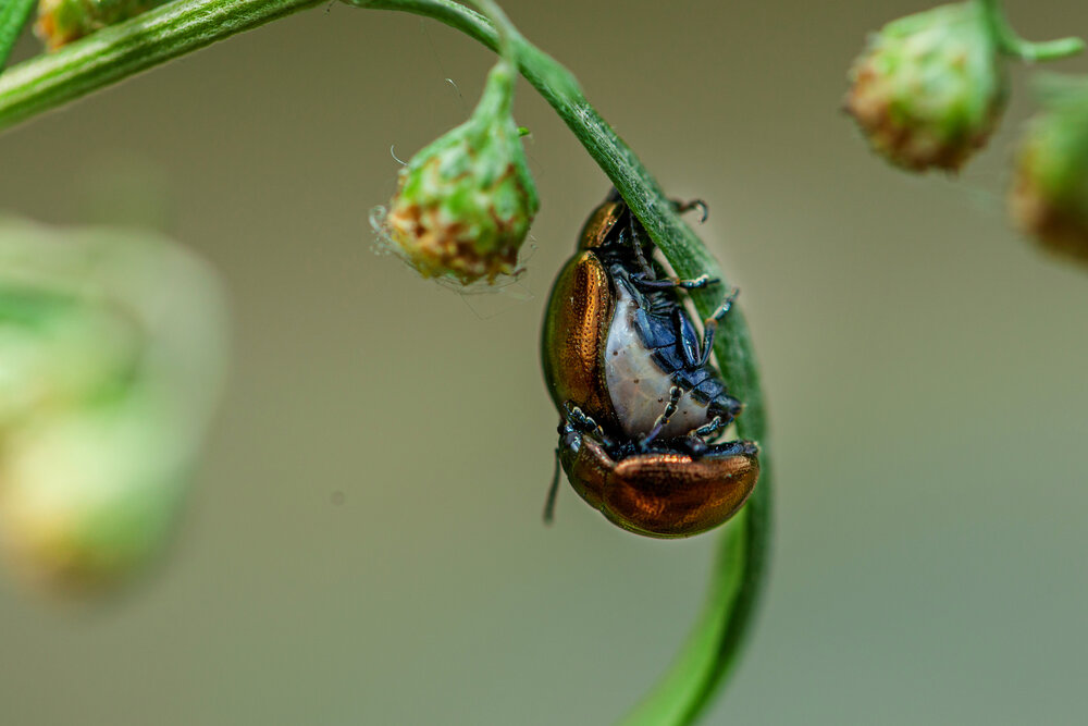 Photograph by Денис Дорошенко
