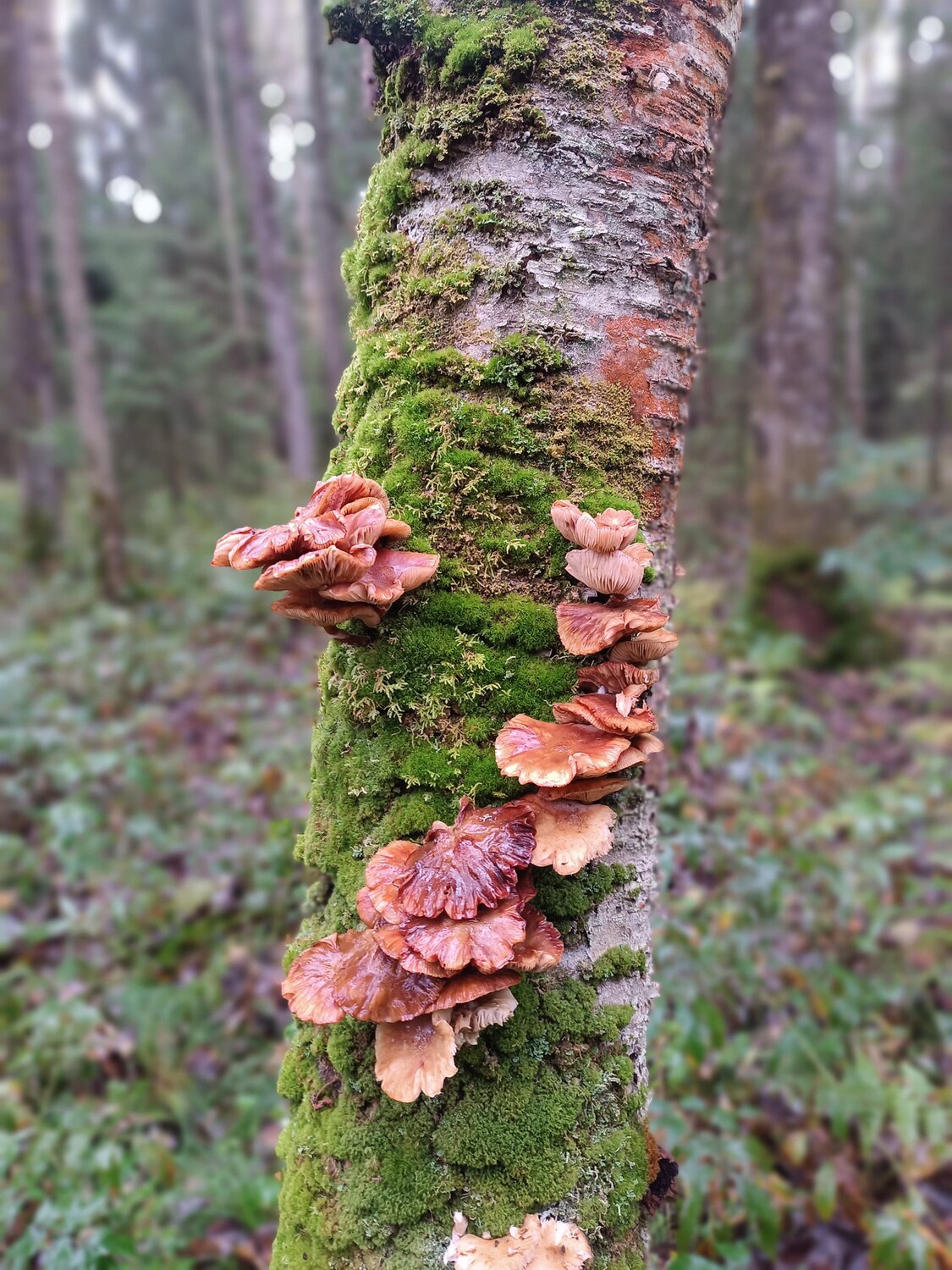 Photo #13963063