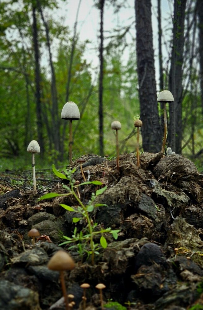 Photograph by Ирина