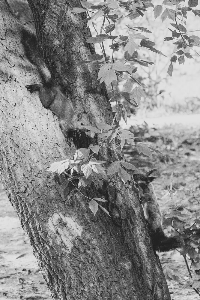 Фотография автора Марина Баришполь