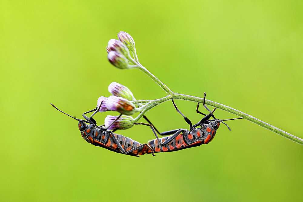 Photograph by MẠNH TÀI NGUYỄN