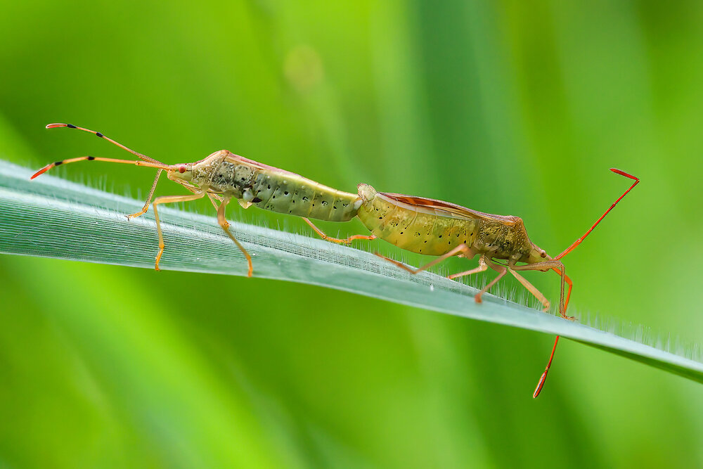 Photograph by MẠNH TÀI NGUYỄN