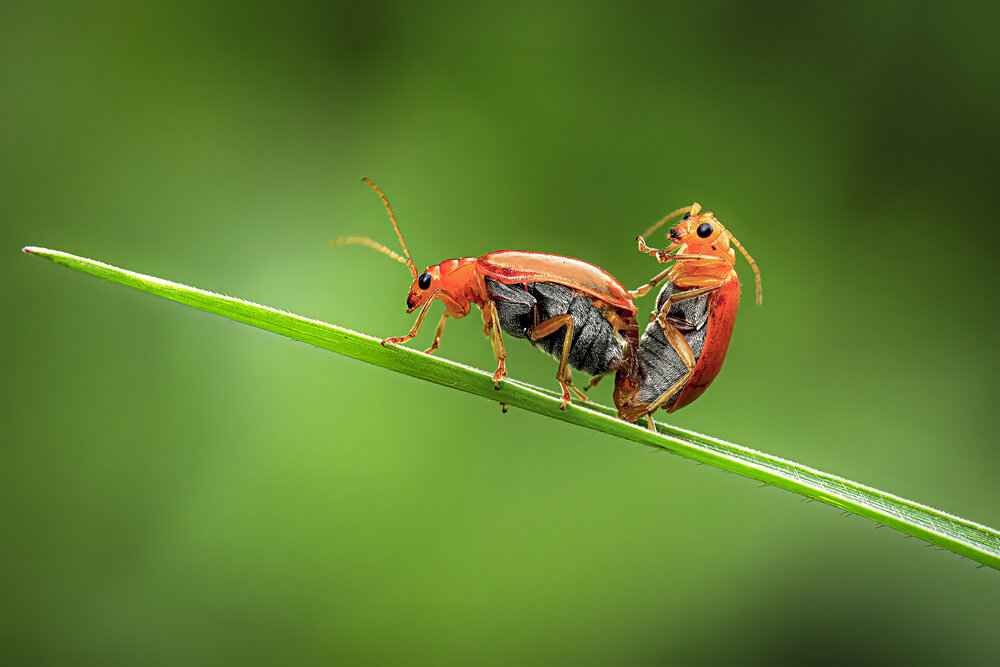 Photograph by MẠNH TÀI NGUYỄN