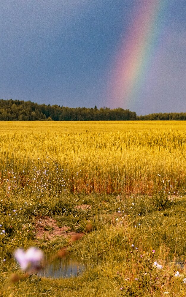 Photograph by Елена Ефимова