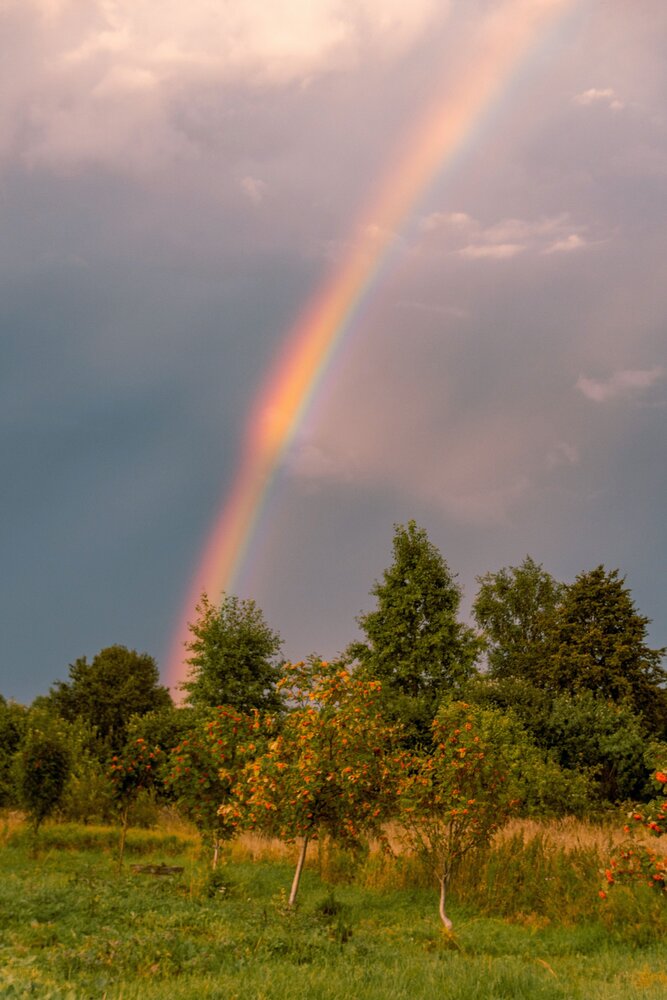 Photograph by Елена Ефимова