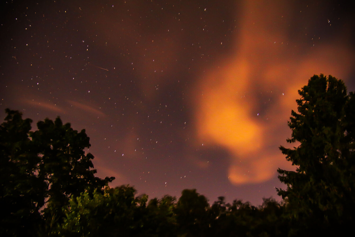 Photo #13964084