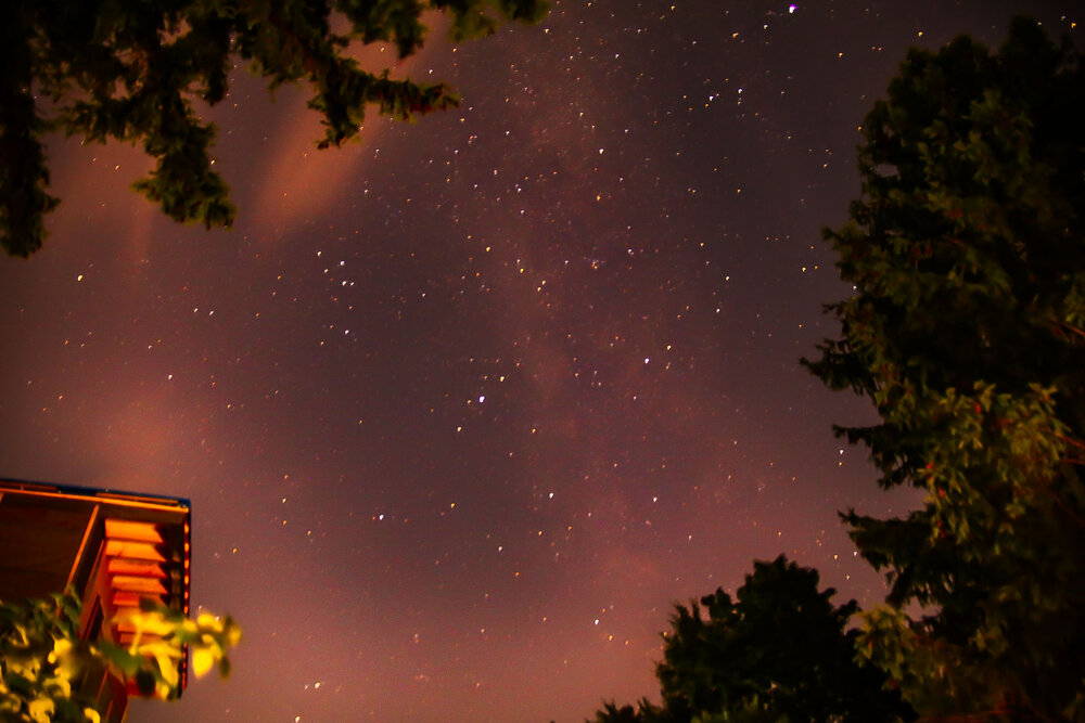 Photo #13964085