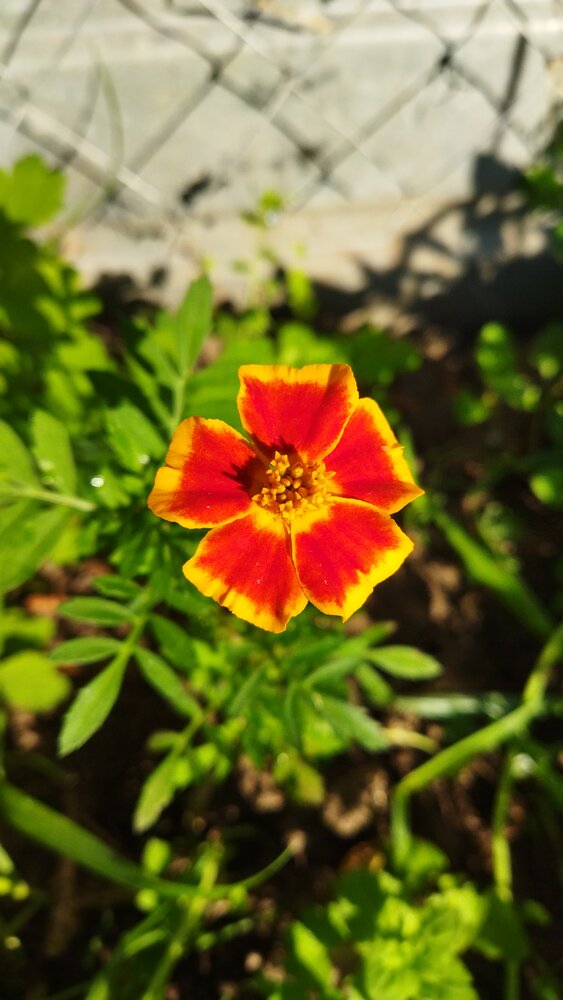 Photograph by Юлия Морозова