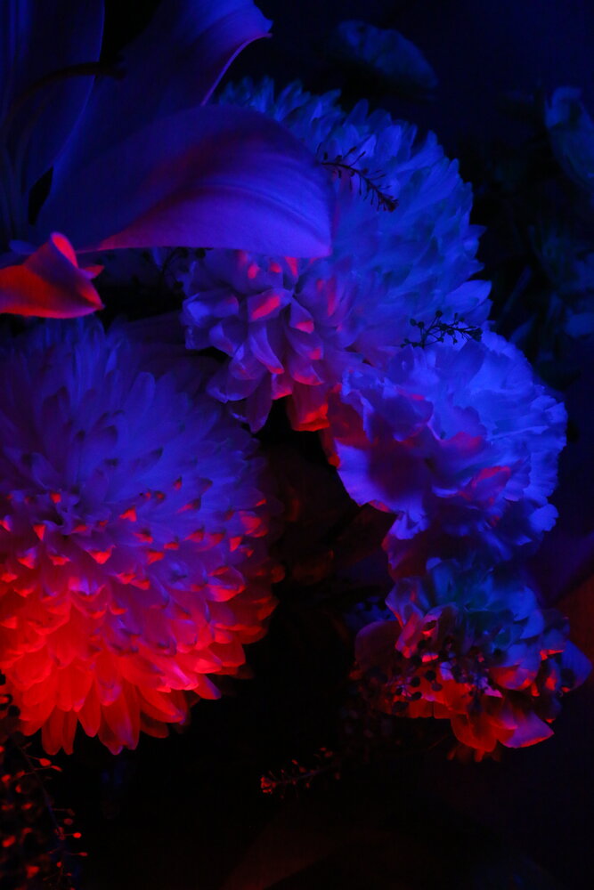 Photo #13964171