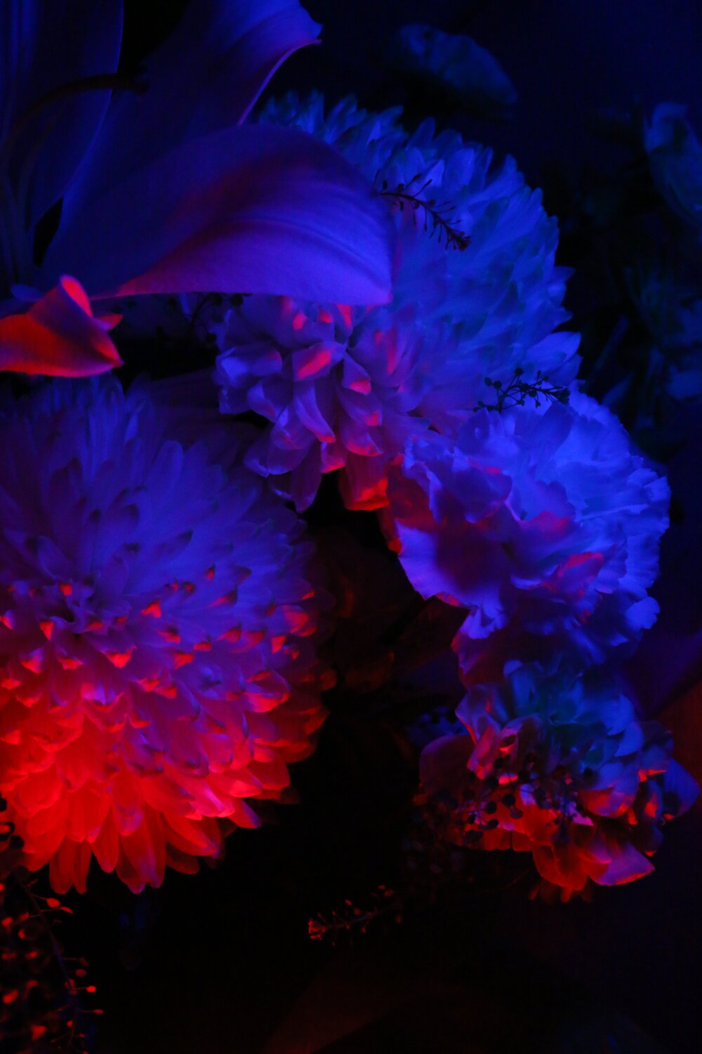 Photo #13964171