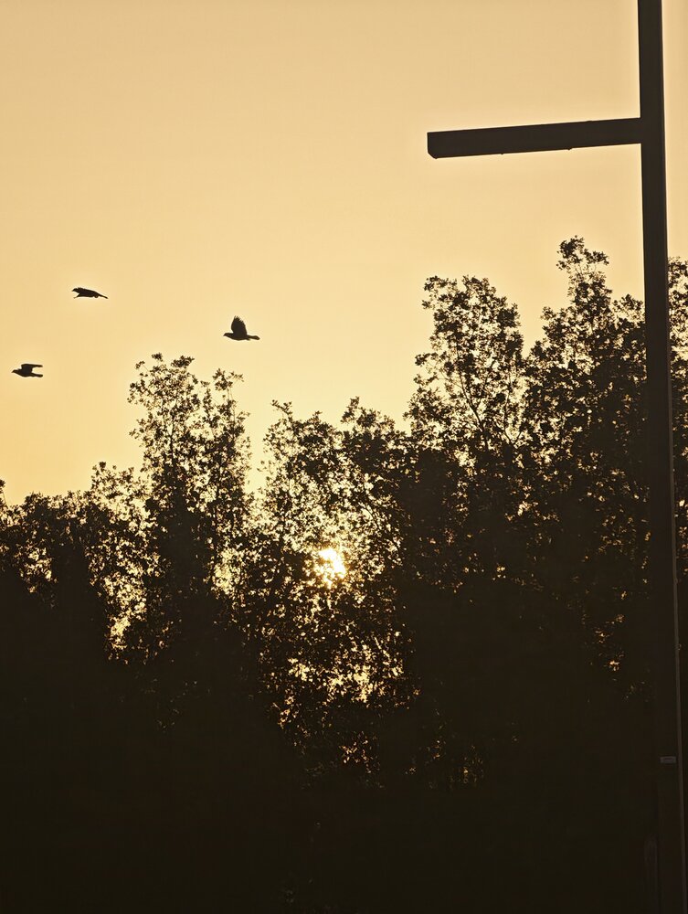 Photo #13964201
