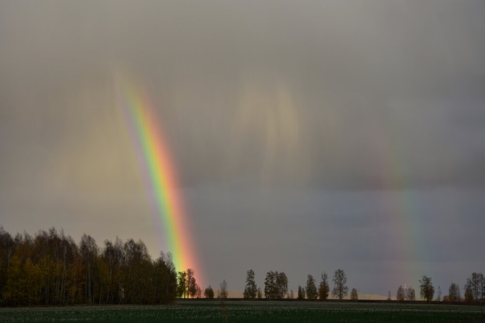 Photograph by Валерий Гудков
