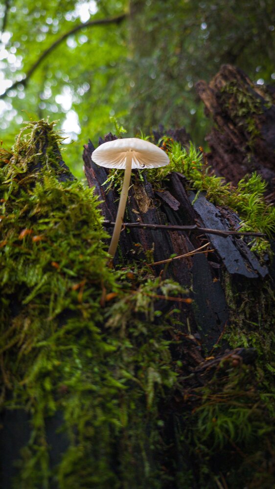 Photograph by Aliaksei Jodko