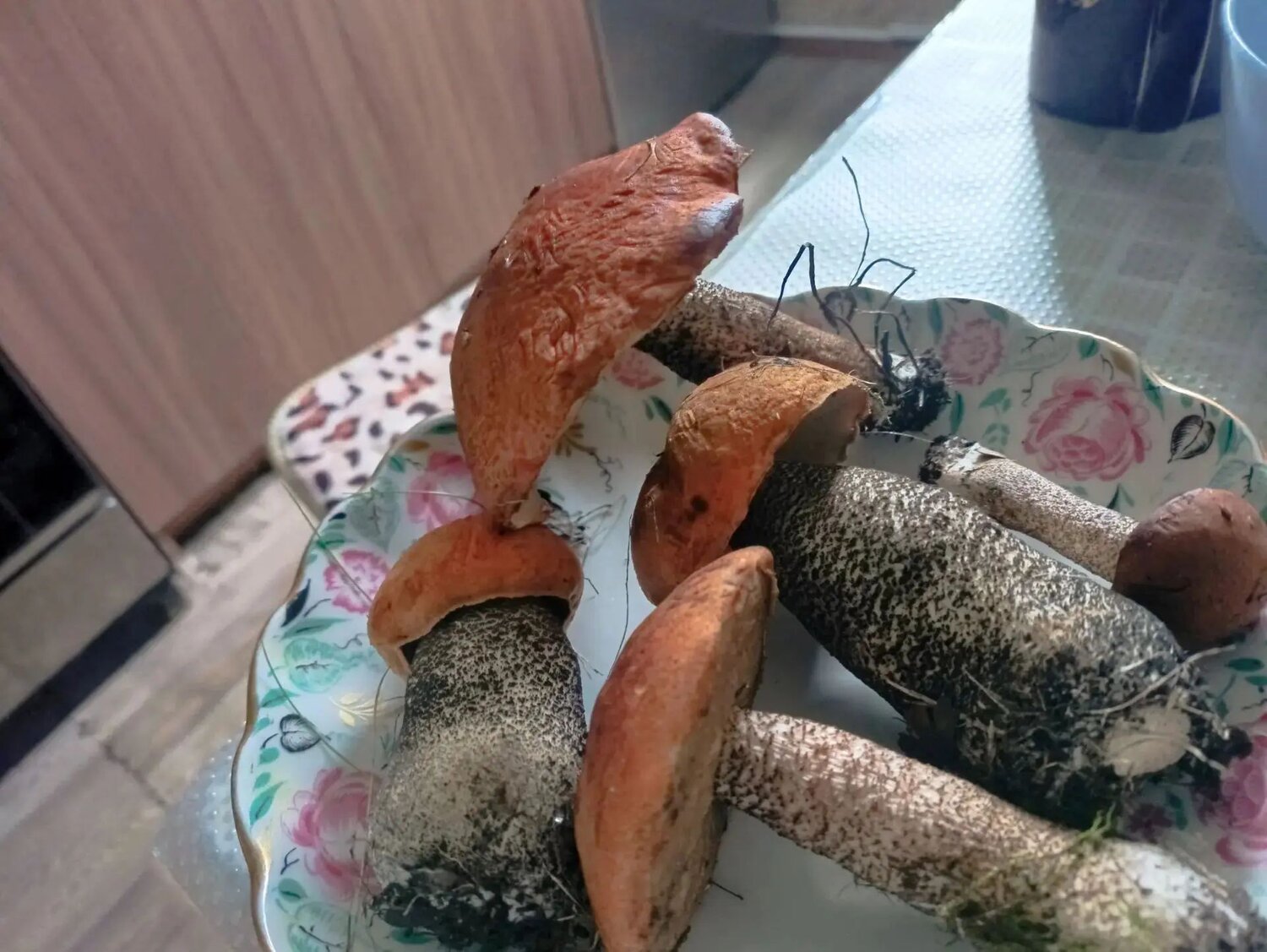 Photo #13964360