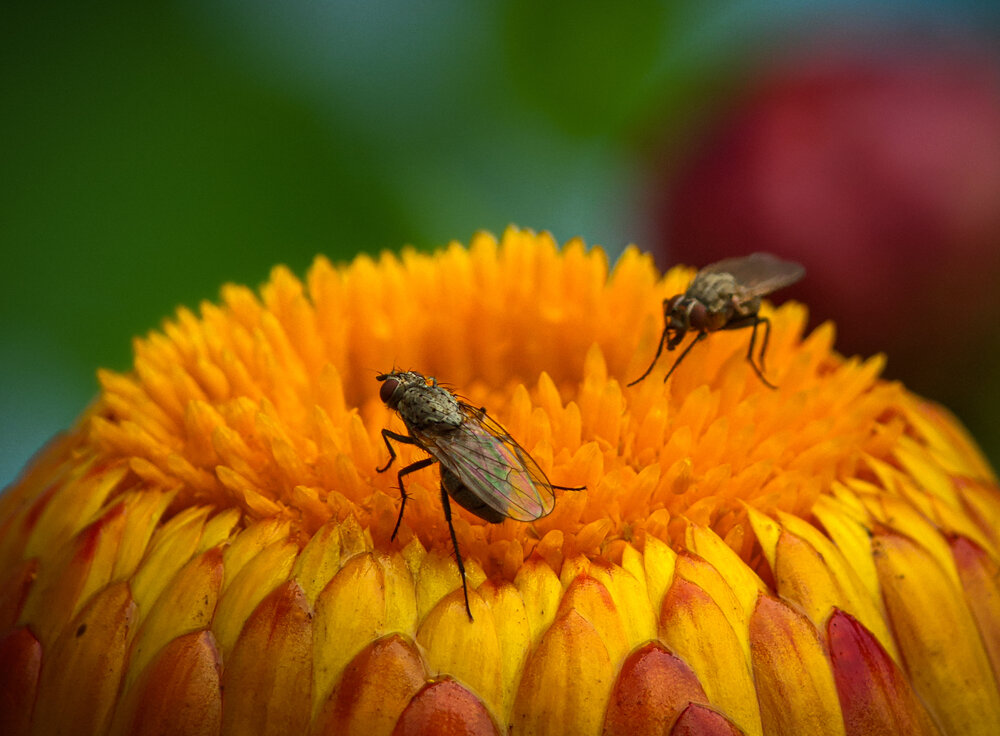 Photograph by Alexandr Gorelenkov
