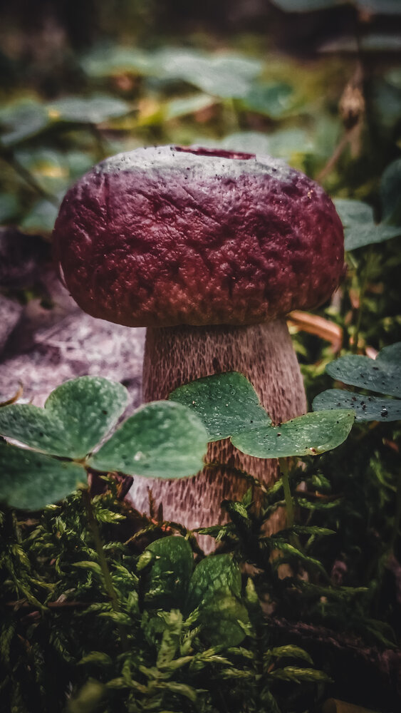 Photograph by Юлия
