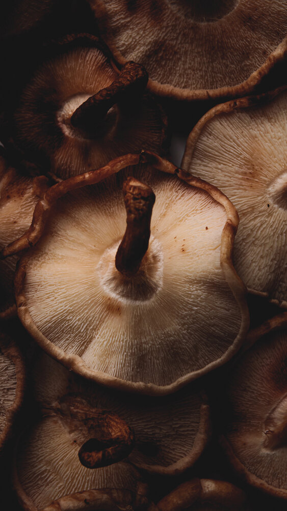 Photograph by Anna Seroczynska