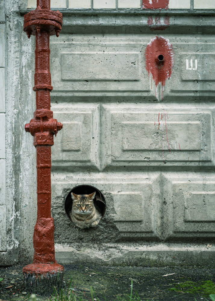 Photograph by Полина Маслова