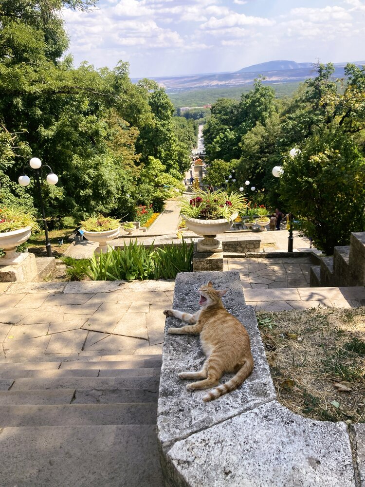 Фотография автора Светлана Парамонова