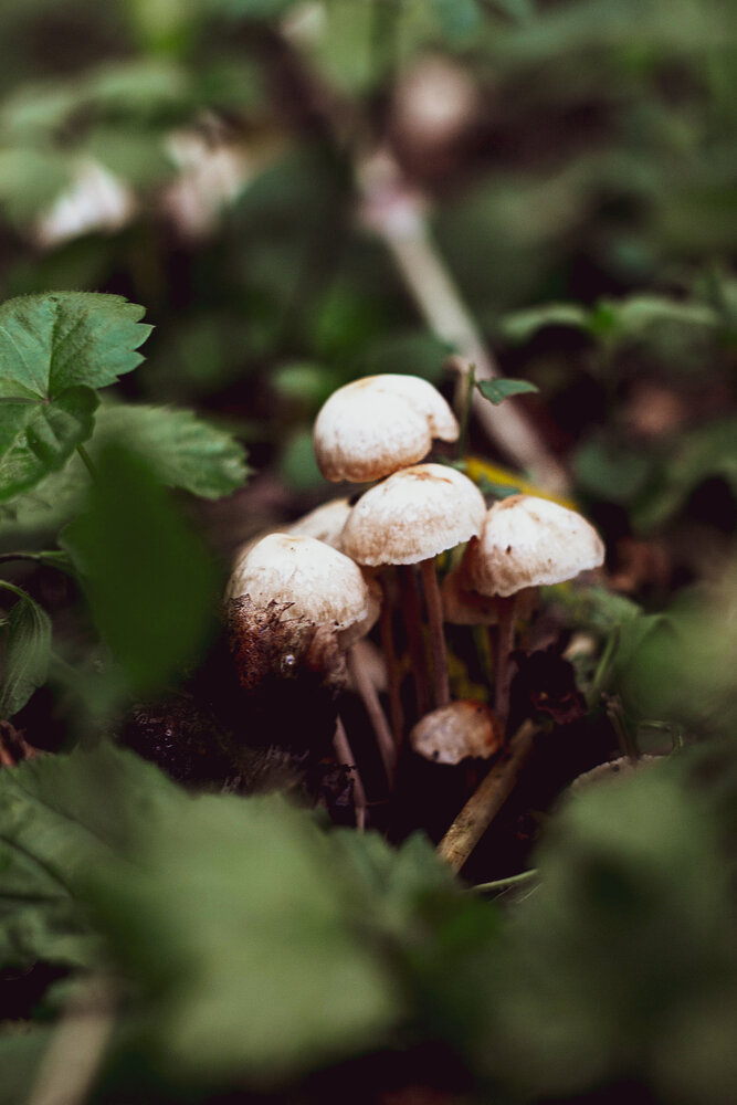 Photograph by Елизавета Курякова
