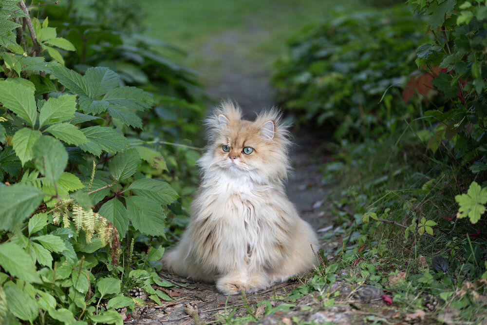 Photograph by Михаил Беликов