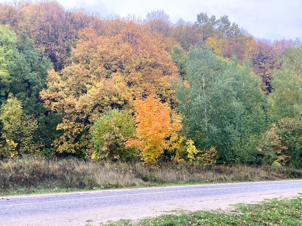 Фотография автора Светлана Парамонова