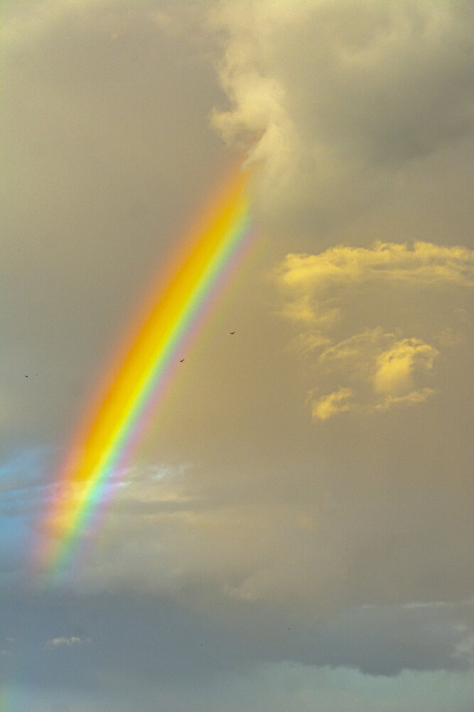 Photograph by Марина Канавченко