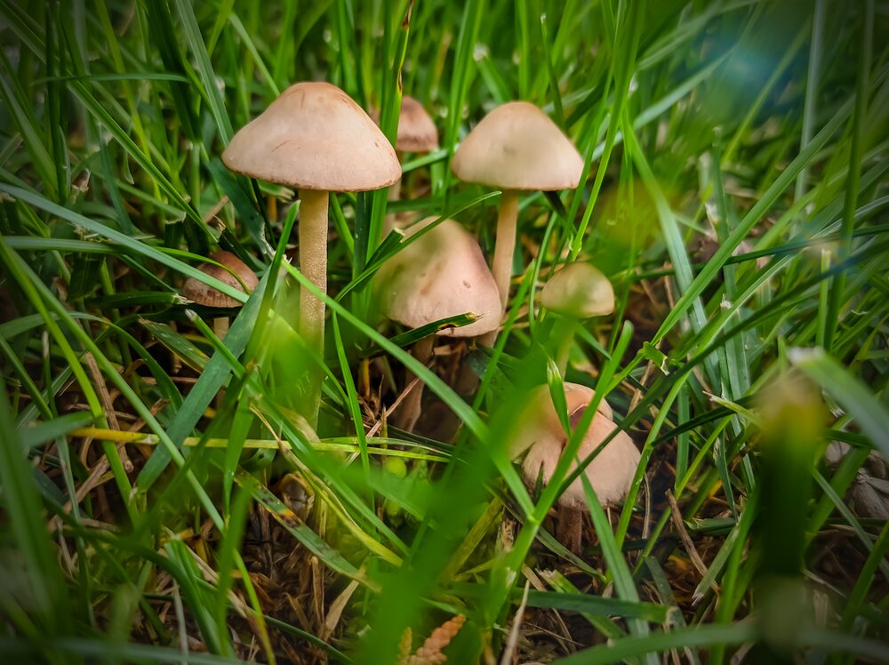 Photograph by Елена Малютина