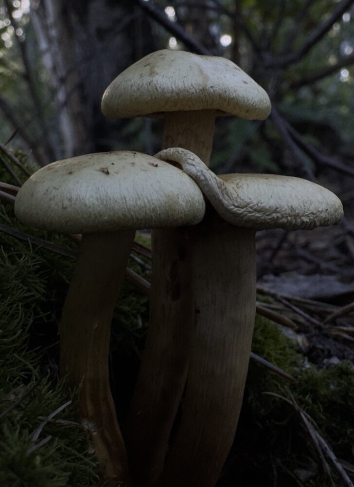 Photograph by Анастасия Самойленко
