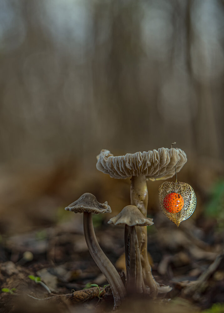 Фотография автора Рябов Игорь