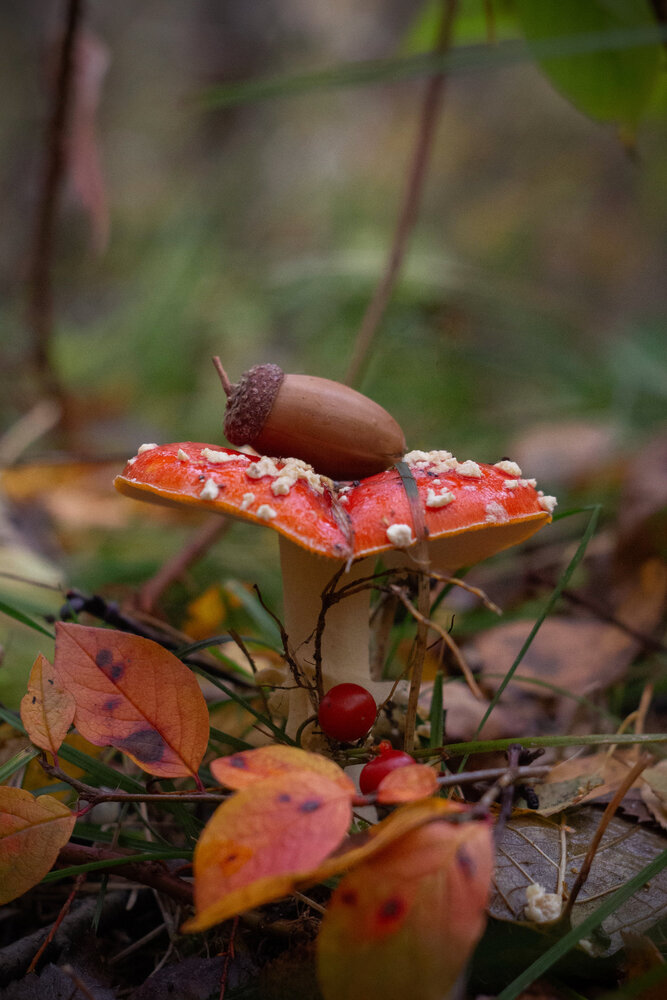 Photograph by Александра Наливаева