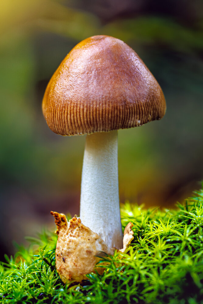 Photograph by Алексей Волков