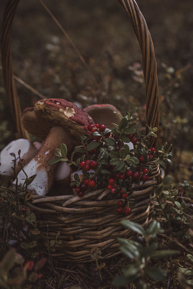 Photograph by Елизавета Шипулина