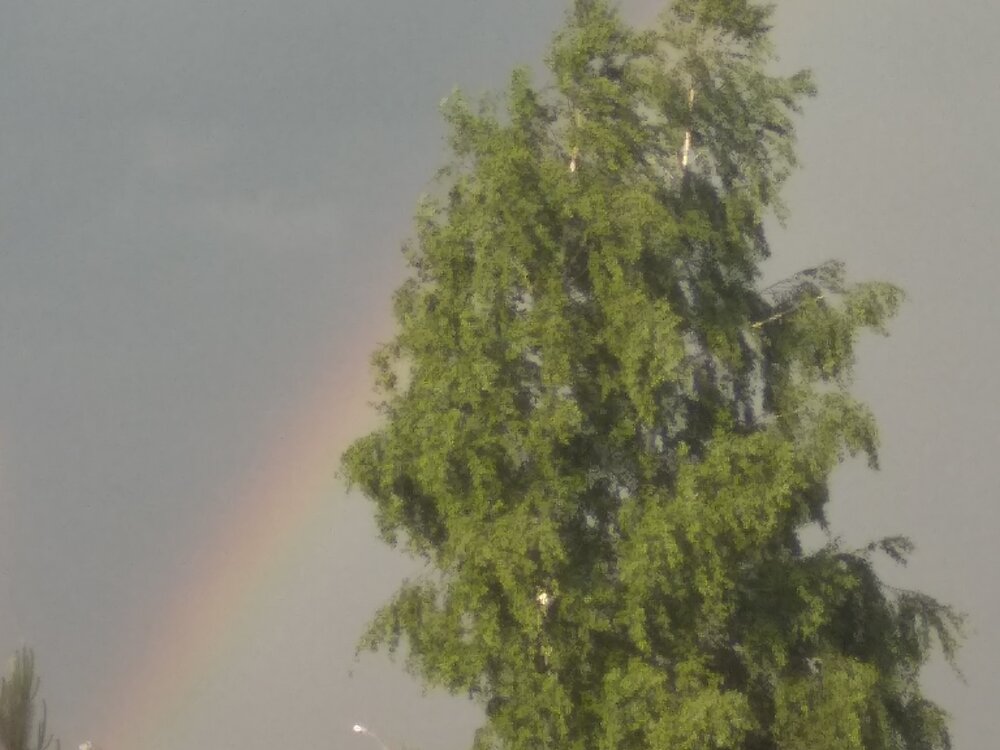 Photograph by Людмила Кириллова