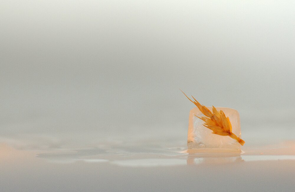 Photograph by Римма Абдуллина