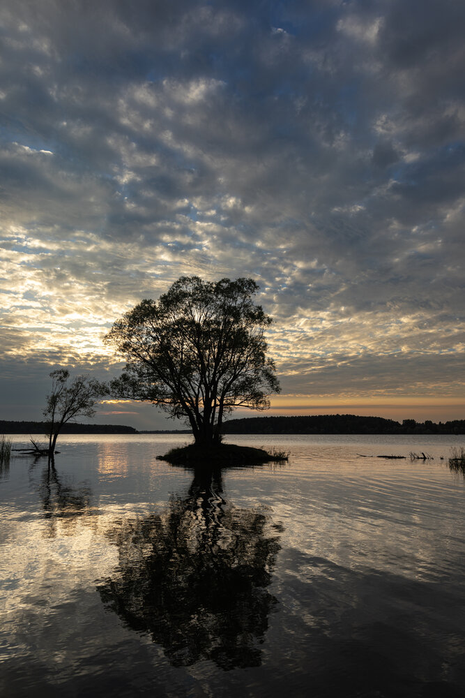 Photograph by Михаил Беликов