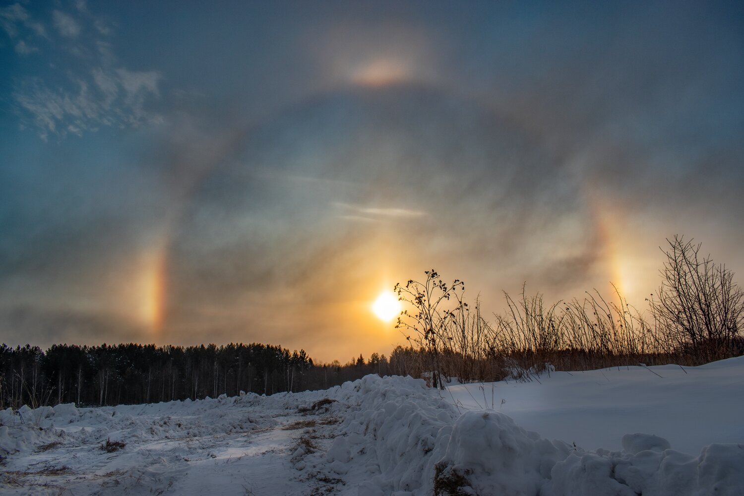 Photo #13965519
